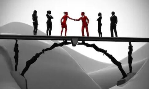 Bridging the Distributor into a Collaborative Demand and Supply Planning Process